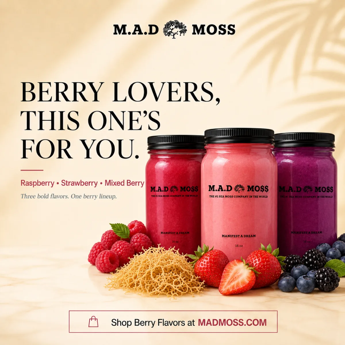 Berry Lineup — M.A.D MOSS